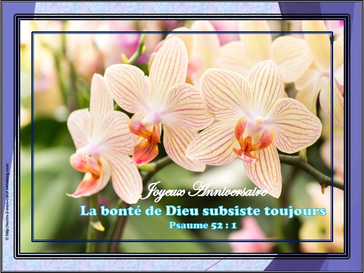 Joyeux Anniversaire