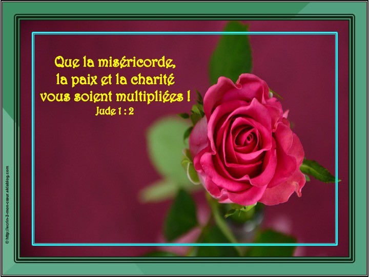 Jude 1 : 2