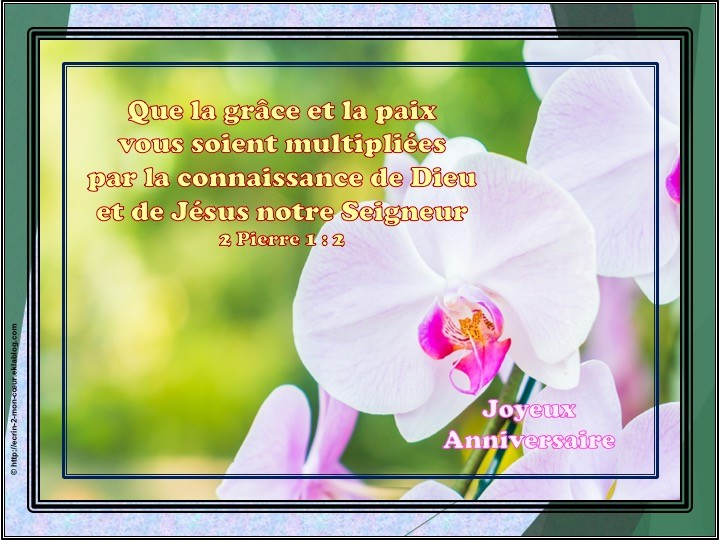 Joyeux Anniversaire