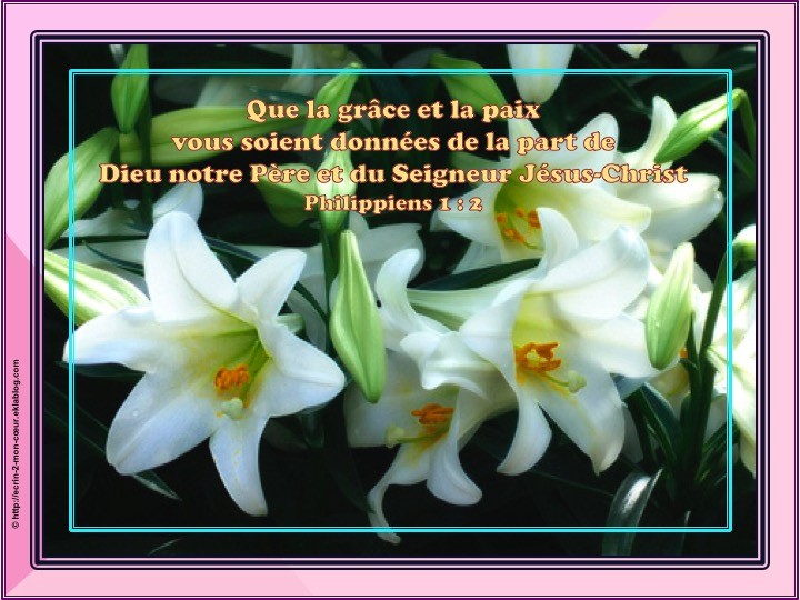 Philippiens 1 : 2