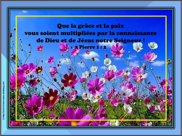 2 Pierre 1 : 2