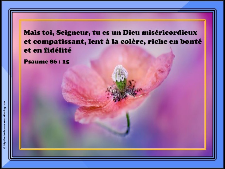 Psaume 86 : 15