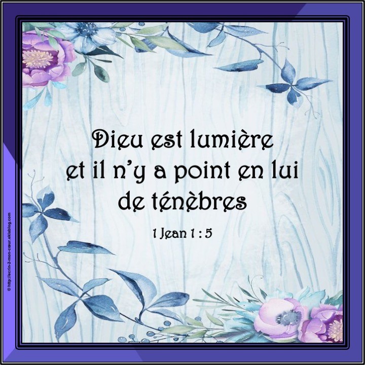 1 Jean 1 : 5