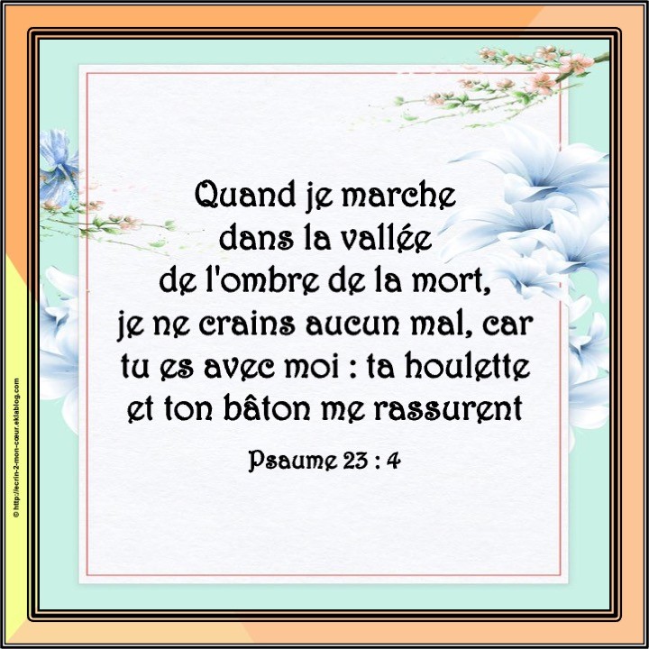 Psaume 23 : 4