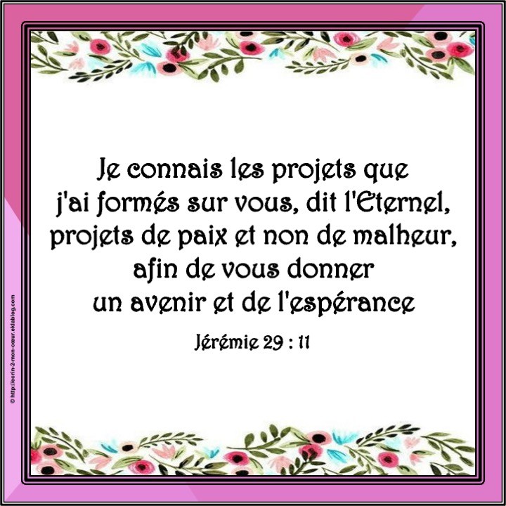 Jérémie 29 : 11