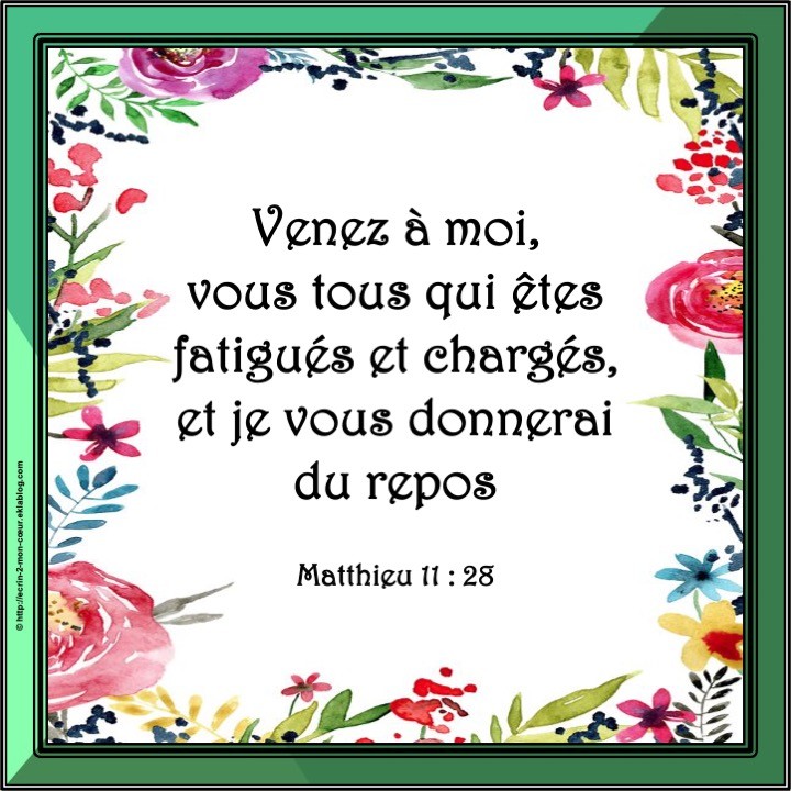 Matthieu 11 : 28