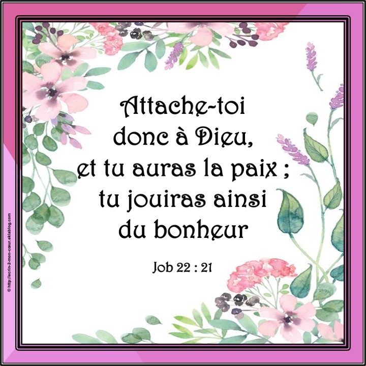 Job 22 : 21