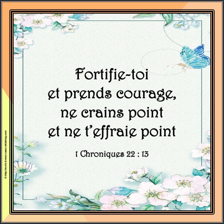 1 Chroniques 22 :13