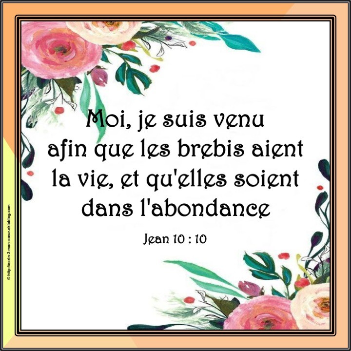 Jean 10 : 10