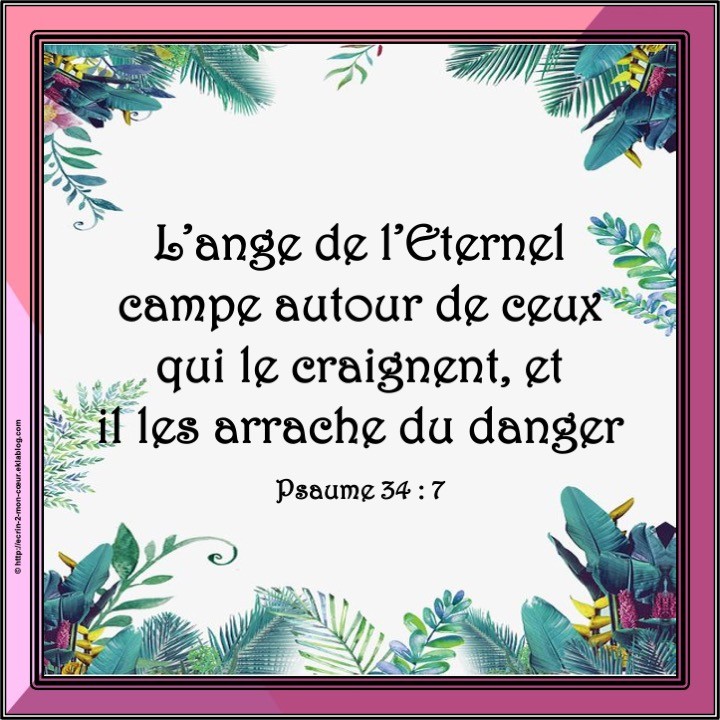 Psaume 34 : 7