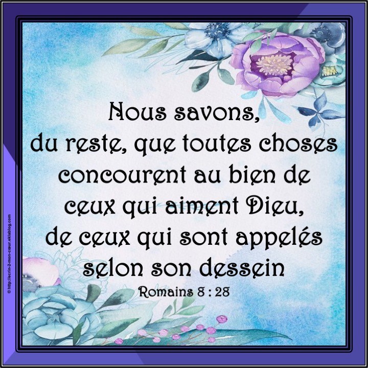Romains 8 : 28