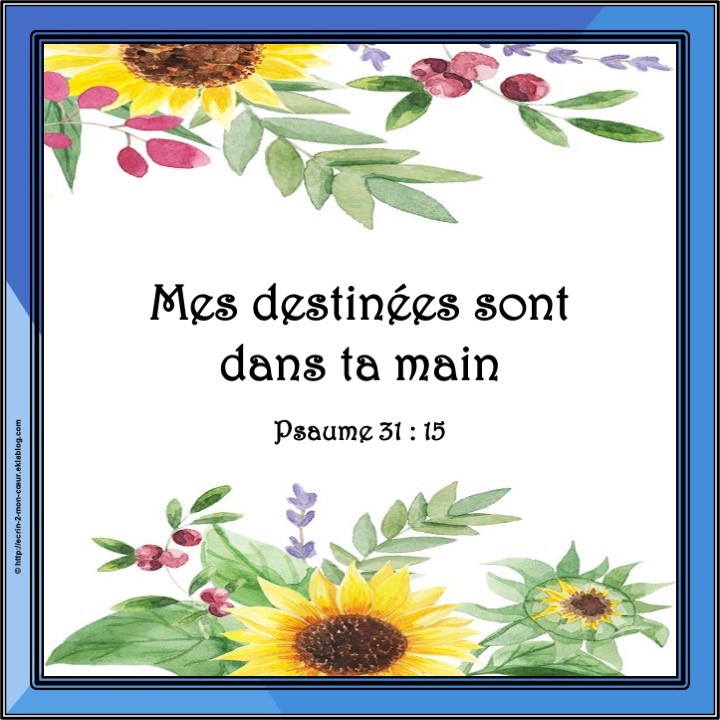 Psaume 131 : 15