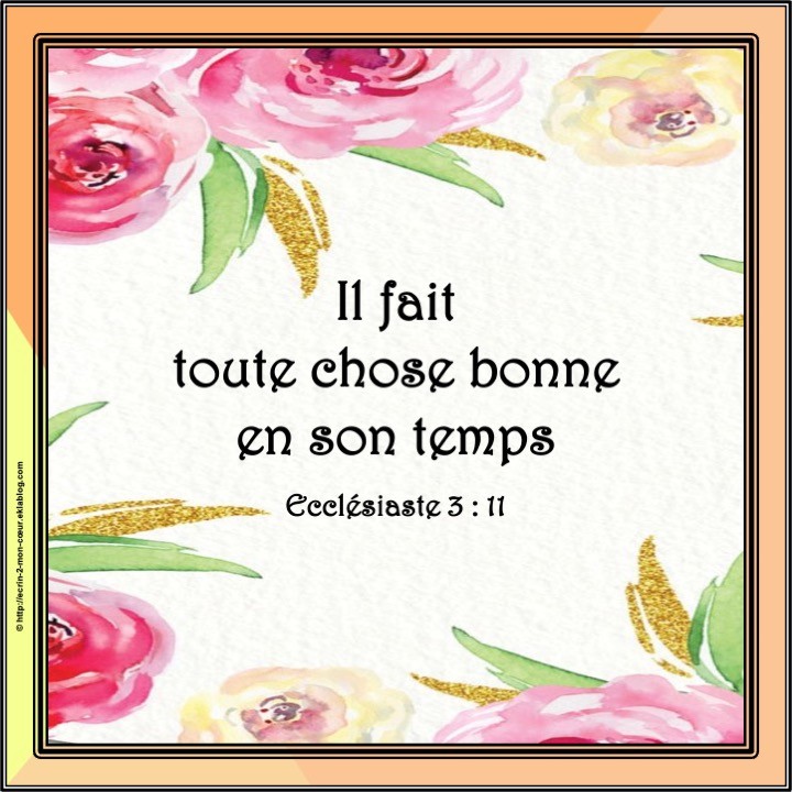 Ecclésiaste 3 : 11
