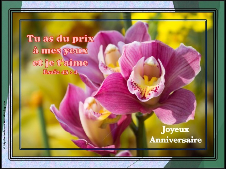 Joyeux Anniversaire