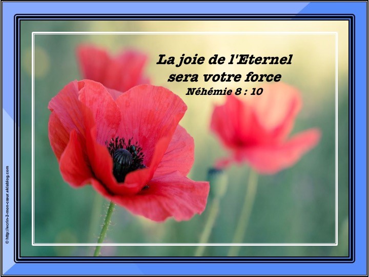 Néhémie 8 : 10