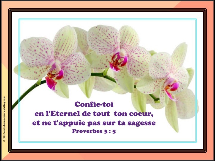 Proverbes 3 : 5