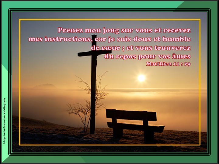 Matthieu 11 : 29