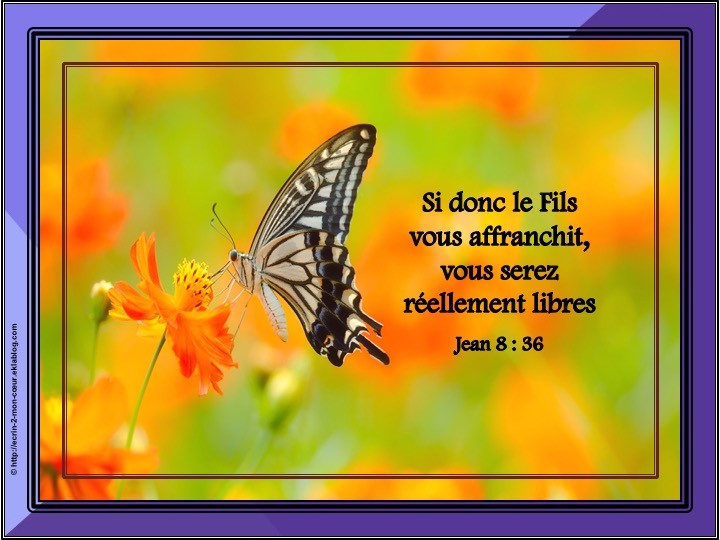 Jean 8 : 36