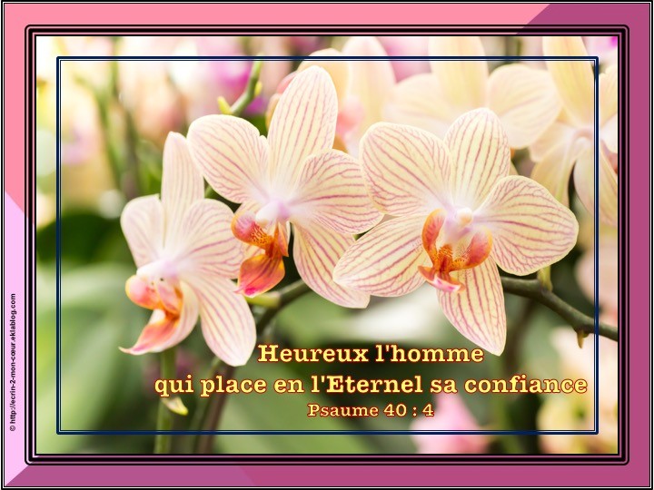 Psaume 40 : 4