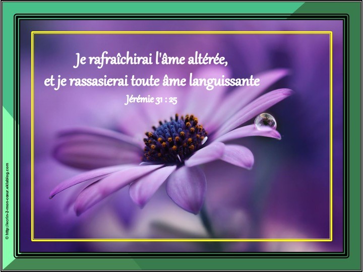 Jérémie 31 : 25