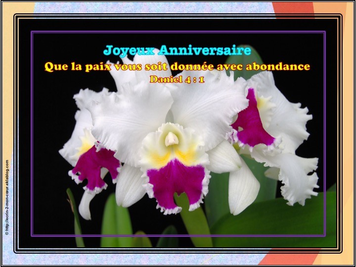 Joyeux Anniversaire