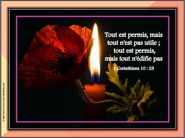 1 Corinthiens 10 : 23