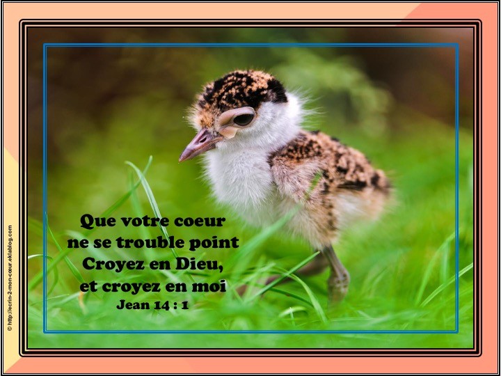 Jean 14 : 1