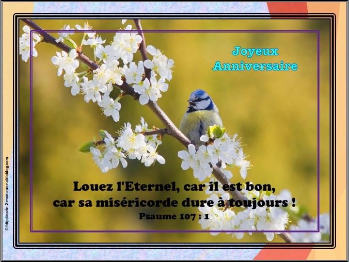 Joyeux Anniversaire